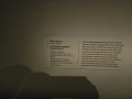 20251120_115215