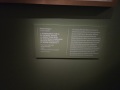 20251120_115450