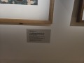 20251120_120557