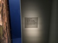 20251120_120939