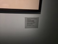 20251120_121114